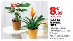 Auchan St yorre - eau gazeuse offre