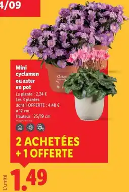 Auchan Supermarché Saint albray - 33% mg offre