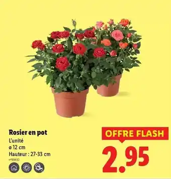 Auchan Supermarché Auchan - poulet fermier lyré label rouge filière cultivons le bon offre