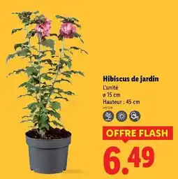 Auchan Supermarché Auchan - oeufs de poules élevées en plein air offre