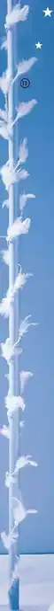La guirlande plumes et perles