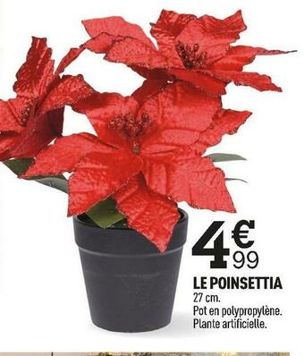 Le poinsettia