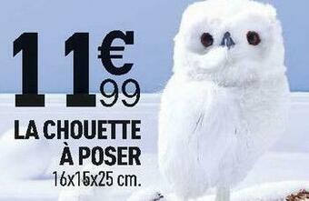 Centrakor La chouette à poser offre