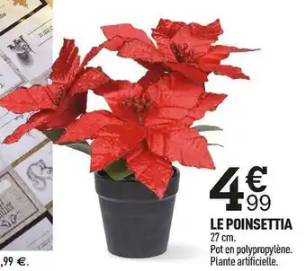 Centrakor Le poinsettia offre