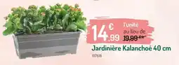E.Leclerc Nestlè - ricore original offre
