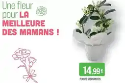 Auchan Le livre de poche - le château des secrets - tome 3 les cœurs apaises offre