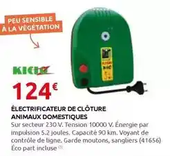 Auchan Nintendo - sports switch offre