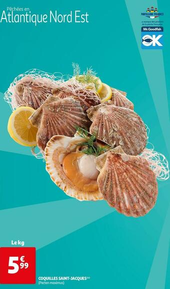 Auchan Coquilles saint-jacques offre