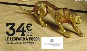 Centrakor Atmosphera le léopard à poser offre