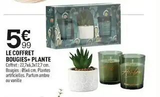 Centrakor Le coffret bougies+ plante offre