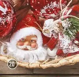 Centrakor Le père noël. offre