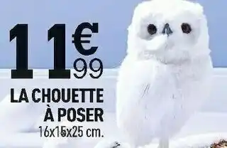 Centrakor La chouette à poser offre