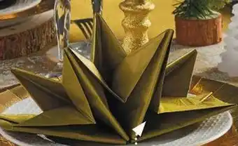 Centrakor Les 20 serviettes offre