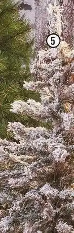 Centrakor Le sapin floqué offre