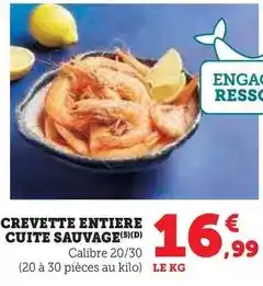 Netto Lego - les fleurs de lotus offre