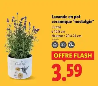 Intermarché Bologne - rhum blanc agricole offre