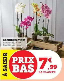 Auchan Total - dailies one offre