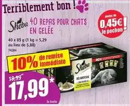 Carrefour Market Maître coq - lamelles kebab cuites surgelées offre