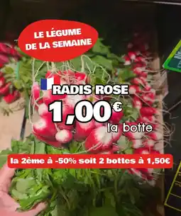 Carrefour Market Maître coq - lamelles kebab cuites surgelées offre