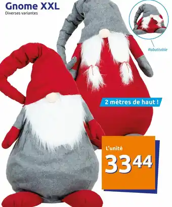Action Gnome XXL offre