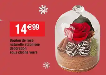 Migros Bouton de rose naturelle stabilisée offre
