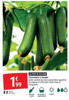 Auchan Jarritos - soda citron vert offre
