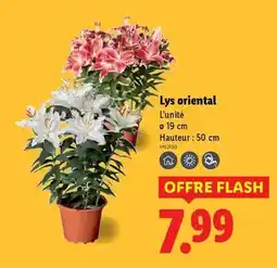 Proxi Confort Rowenta - aspirateur sac offre