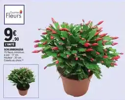 Carrefour Market Oreo - biscuits offre