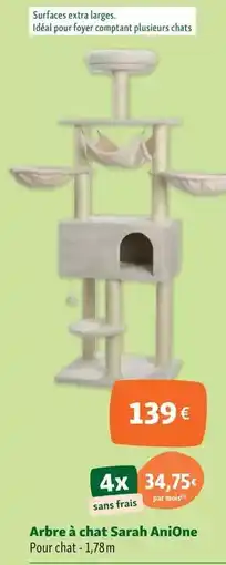 Carrefour Ajax - nettoyant ménager offre