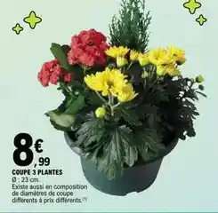 Carrefour Market Le blouson de sel offre