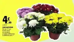 Carrefour Market Combinaison homme offre