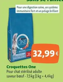 Carrefour Bic - briquets offre