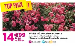 Match Monster - boisson énergétique offre