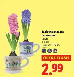 Action Style - ensemble de maquillage i love my offre