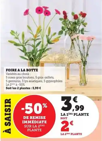 Carrefour Market Carrefour - moules de bouchot filiere qualite offre