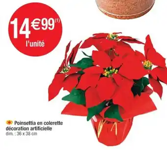 Poinsettia en colerette