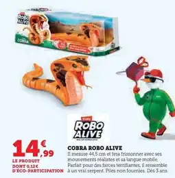 Carrefour Market Café royal - capsules de café offre