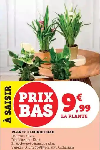 Conforama Canape convertible 3 places noah offre