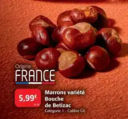 Auchan Blédina - croissance bledilait offre