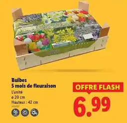 Carrefour Braun - cafetière filtre réf. : ff11004wh offre