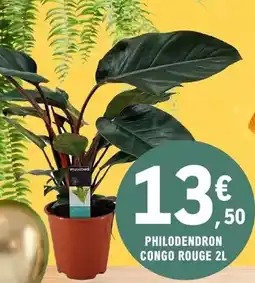 Carrefour Sans complexe - le soutien-gorge offre