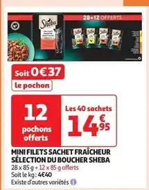 Hyper U Playmobil - tiny house offre