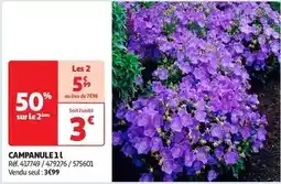 Auchan Rohan - sachet mix offre