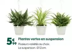 Promocash Président - appareil à crème brûlée vanille bourbon avec grains de vanille offre