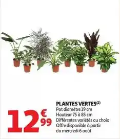 b&m Assiette plate offre