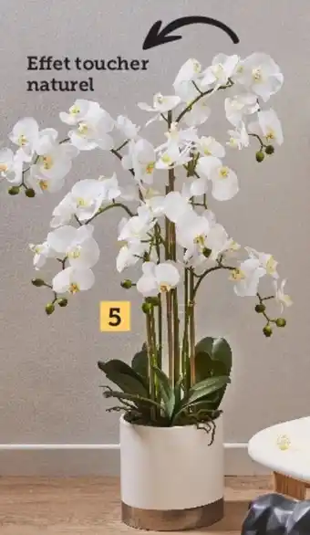 Hyper U Orchidee 6 branches 80 cm offre