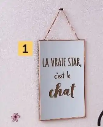 Hyper U Miroir chat offre