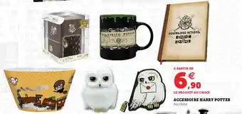 Accessoire Harry Potter