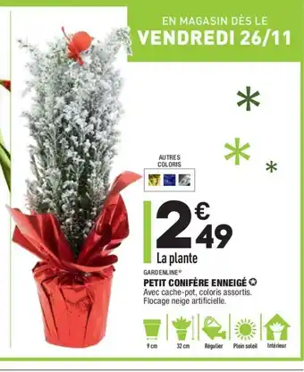 ALDI Petit Conifére Enneigé offre