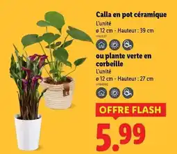 Carrefour Siège auto isee everfix offre